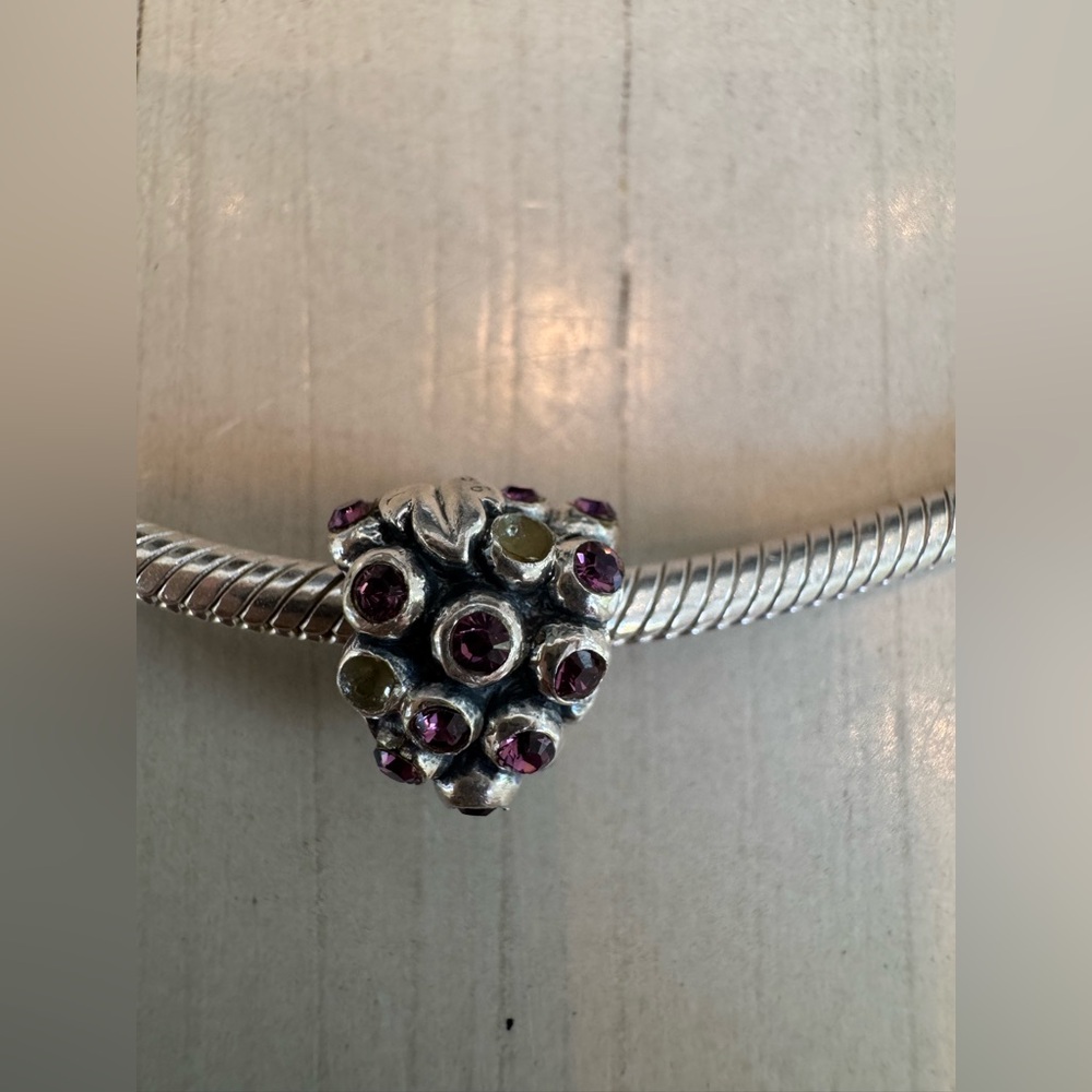Biagi/Pandora 925 Sterling Silver Snake Bracelet with Vintage Charms - Picture 12 of 15